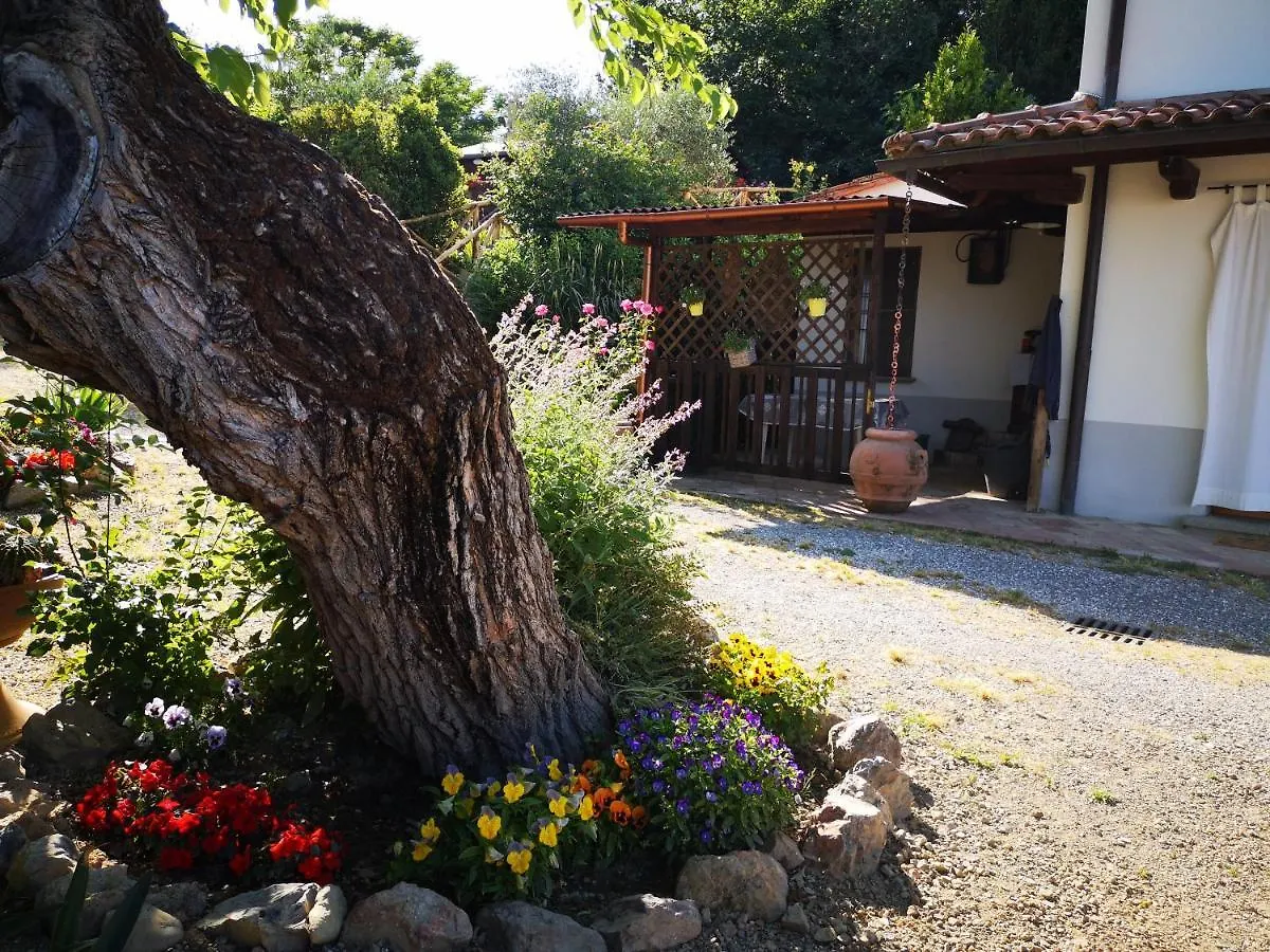 Tuscany Country House Villa Claudia San Miniato 0*,